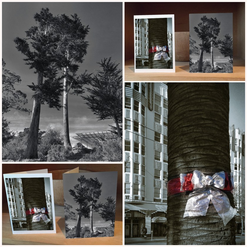 trees-xmas-card-2016