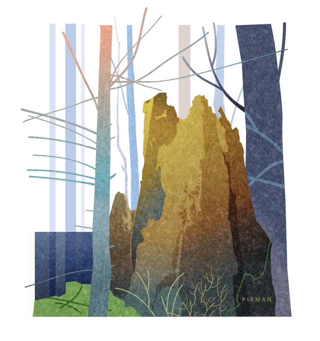 Tree Stump abstract 6 1200